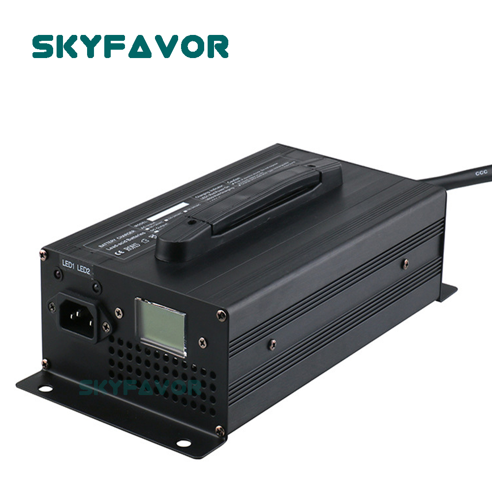 Chargeur de batterie professio - Lifepo4 Battery Charger Smart Automatic avis et prix